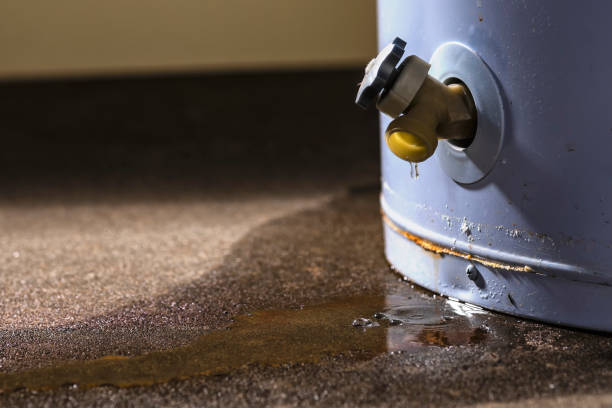 Best Residential water damage restoration  in Medicine Lodge, KS