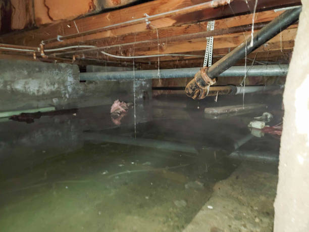  Medicine Lodge, KS Water damage restoration Pros