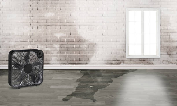 Best Commercial water damage restoration  in Medicine Lodge, KS