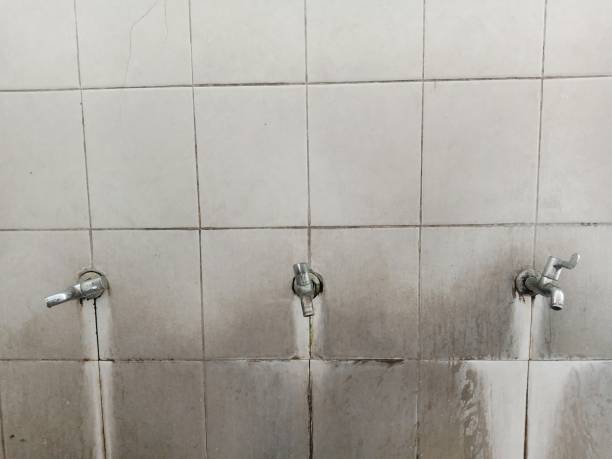 Best Water damage restoration specialists  in Medicine Lodge, KS