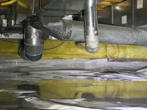 Best Carpet water damage restoration  in Medicine Lodge, KS